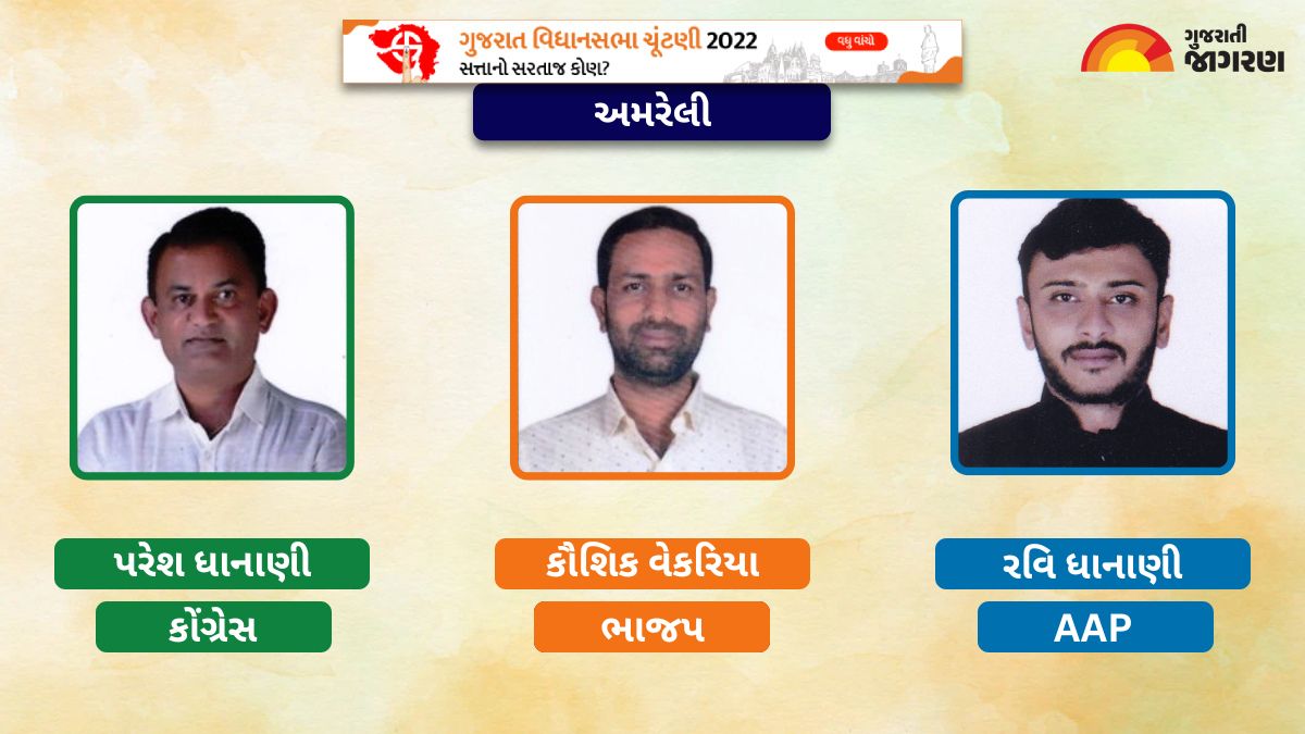 amreli-assembly-constituency-gujarat-election-result-2022-live-updates-kaushik-vekariya-bjp-vs-paresh-dhanani-congress