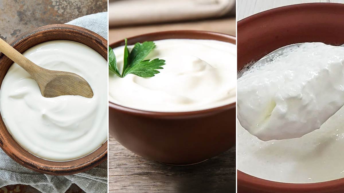 know difference between yogurt and curd
