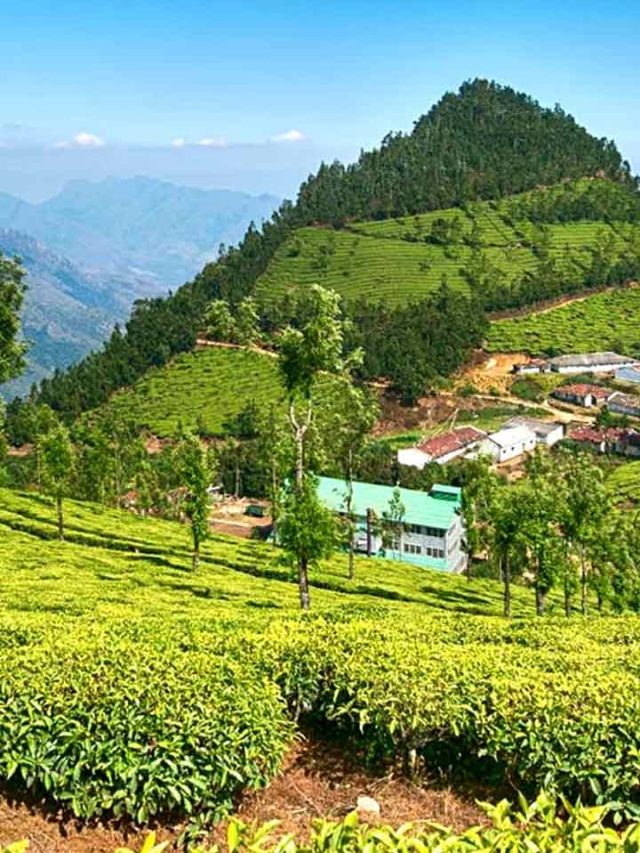 Breathtaking Places: જુઓ North East Indiaના 5 સૌથી ખુબસુરત Hill Station