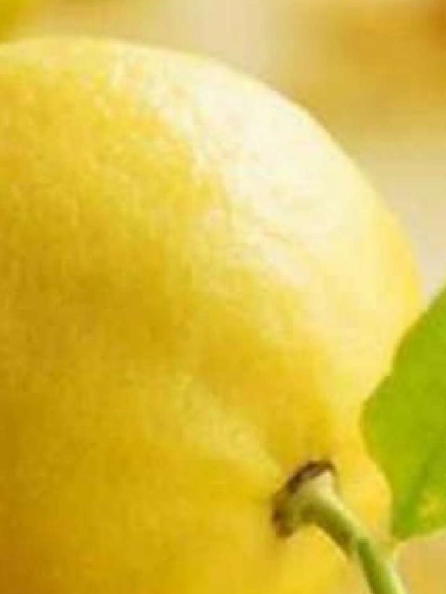 Lemon Tips: અજમાવો લીંબુથી જોડાયેલા આ નુસખા, સમસ્યાઓ થઇ જશે ગાયબ