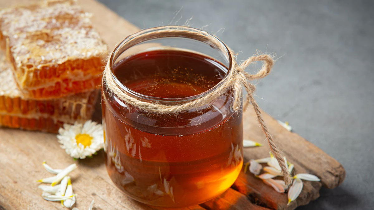 Right Way To Eat Honey એક્સપર્ટ પાસેથી જાણો મધ ખાવાની સાચી રીત