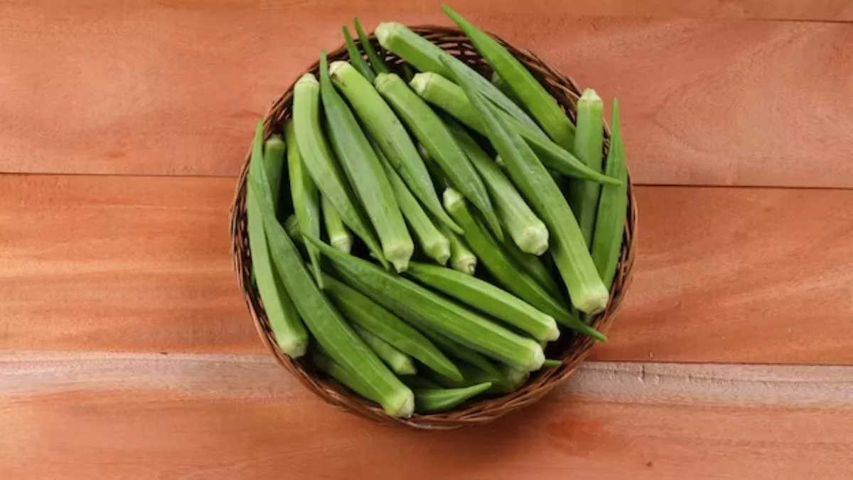 gujarat-ranks-first-in-the-country-in-lady-finger-farming-664066