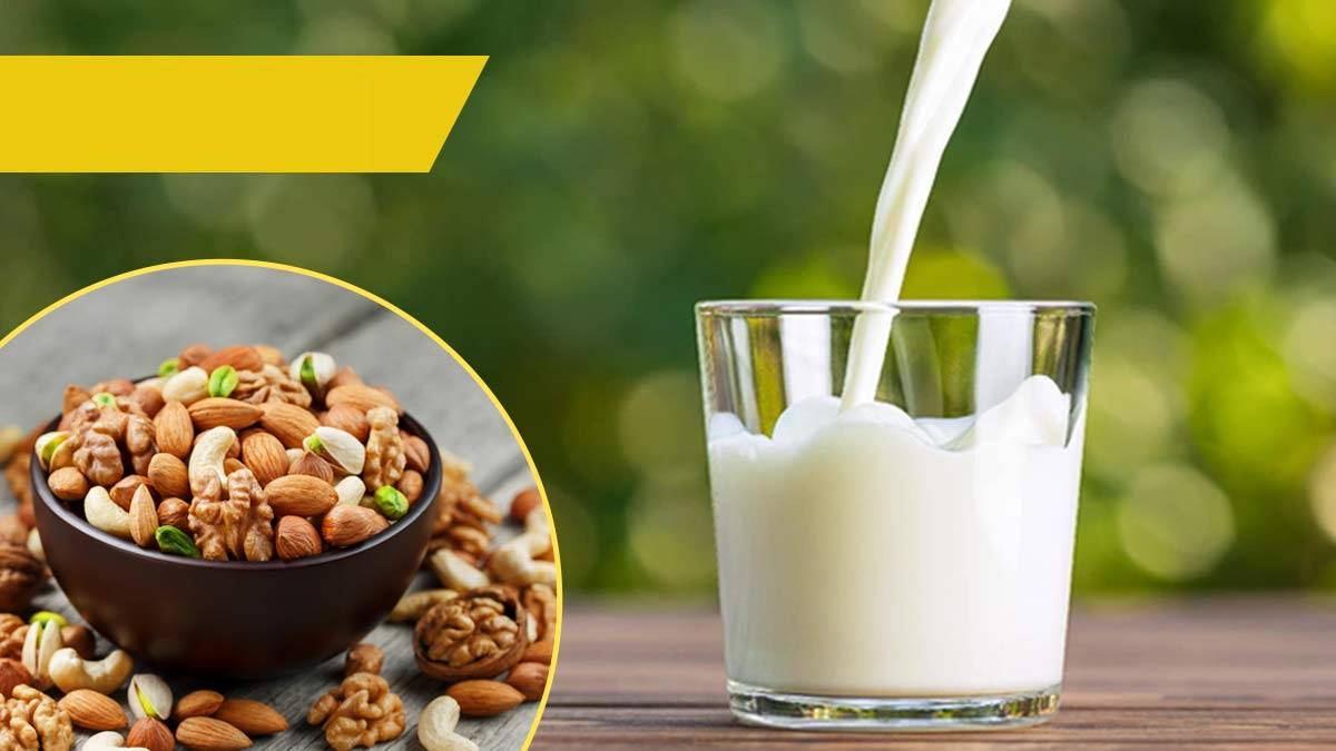 Foods For Students During Exams foods-for-students-during-exams