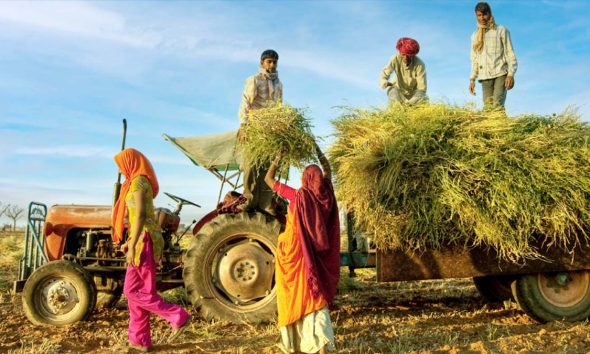 Gujarat Agriculture News: બદલાતા ઋતુચક્ર સામે હવે ખેડૂતોએ 'ક્લાયમેટ સ્માર્ટ' કૃષિ કરવી પડશે