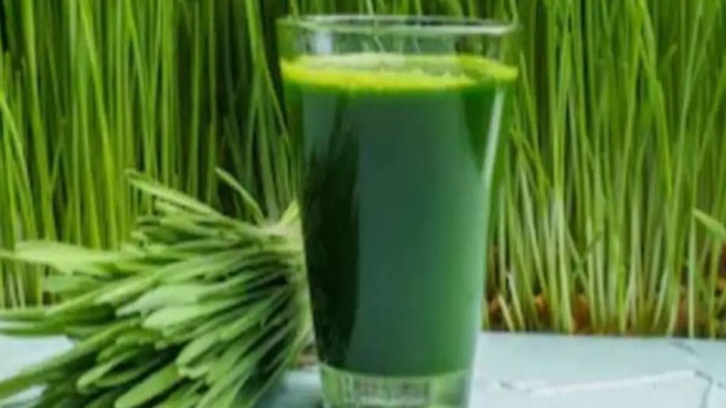 થાઈરોઈડના દર્દીઓ માટે બહુ ફાયદાકારક છે વ્હીટગ્રાસનો જ્યૂસ, આ રીતે કરો