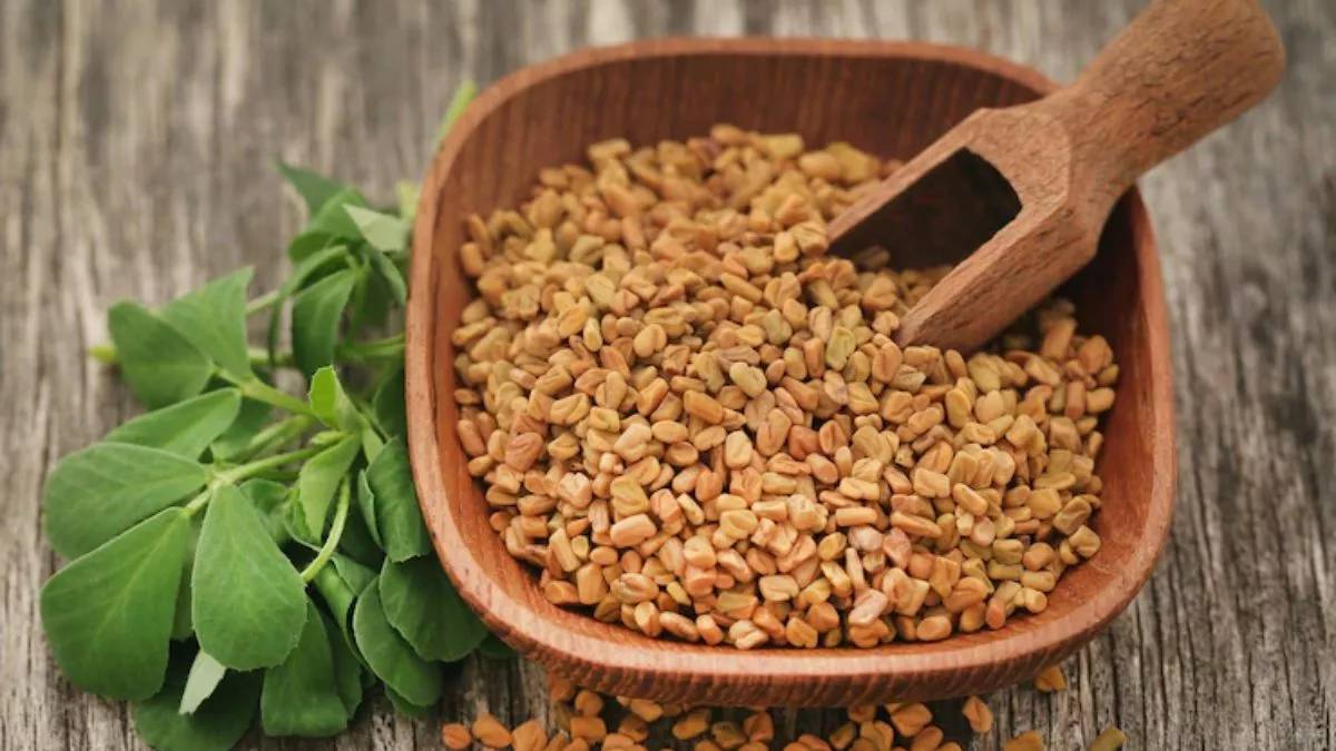 these-types-of-people-should-avoid-consumption-of-methi-seeds-it-may-cause-health-damage-in-gujarati-106286