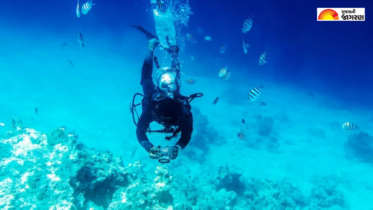 Weekend Destination સ્કૂબા ડાઇવિંગ માટે થાઈલેન્ડ જવાની જરૂર નથી