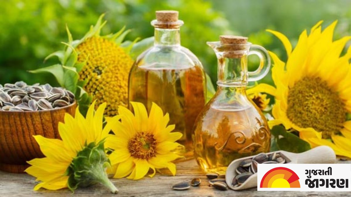 Sunflower Oil Benefits જાણો સૂર્યમુખીના તેલનો ઉપયોગ કરવાથી સ્વાસ્થ્યને