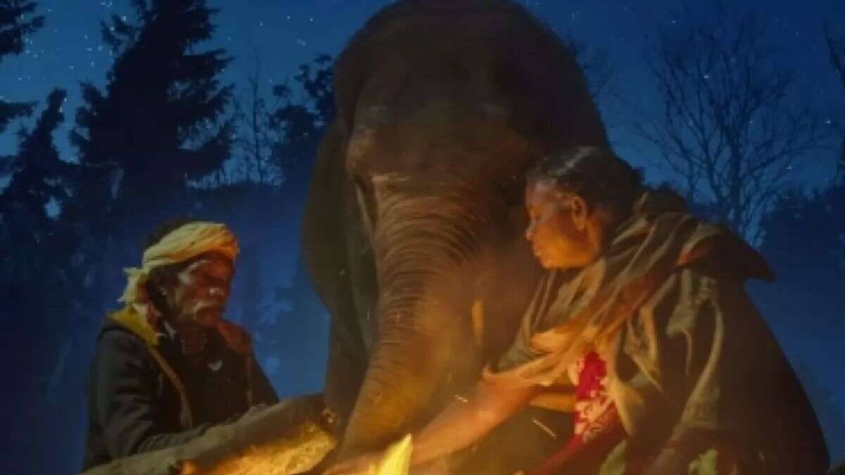 oscars-2023-indias-the-elephant-whisperers-wins-best-documentary-short