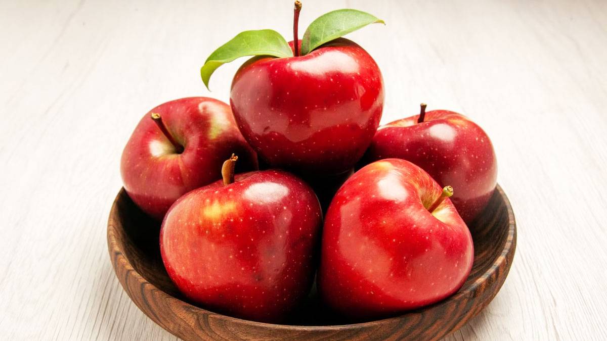 gondal-apmc-aaj-na-bajar-bhav-fruits-bhav-26-august-2025-592115