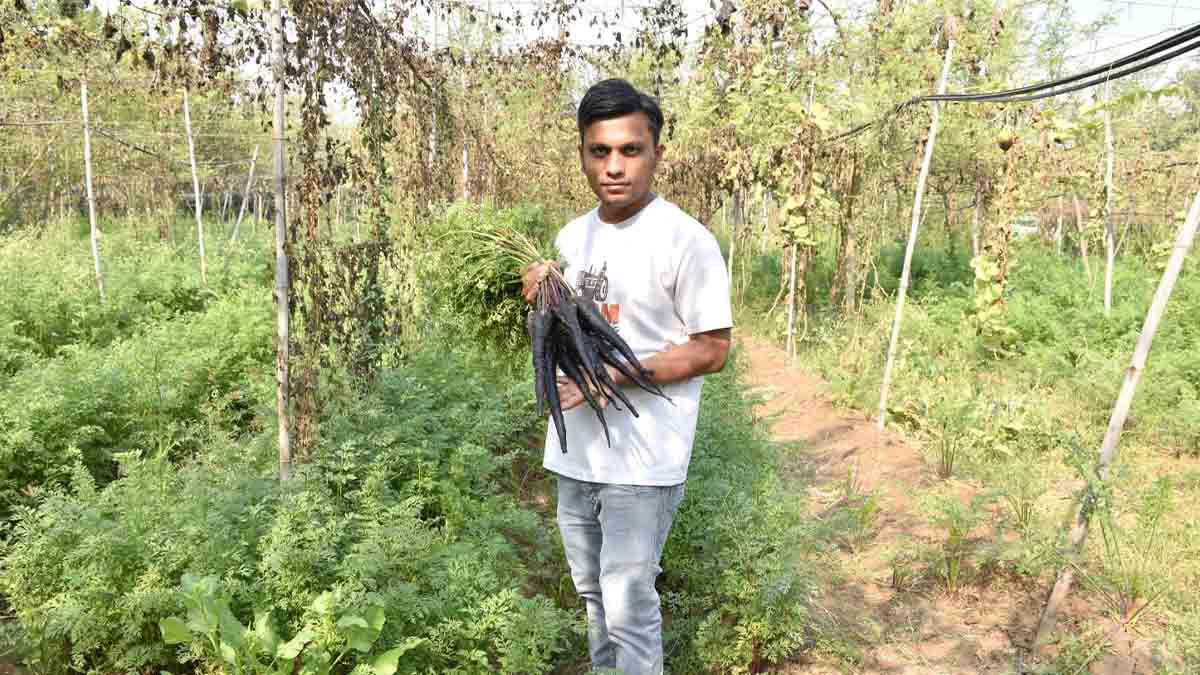 વડોદરાના ખેડૂતે 4045 પ્રકારની શાકભાજી ઉગાડી, દર મહિને કરી રહ્યાં છે રૂ