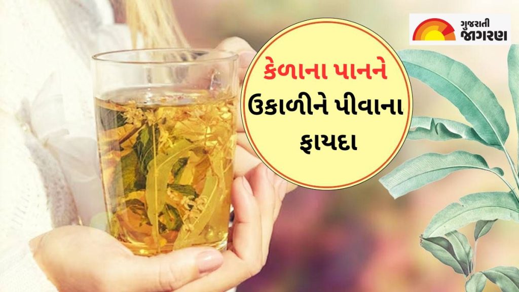 Benefits of Banana Leaves જાણો કેળાના પાનને ઉકાળીને તેનું પાણી પીવાથી