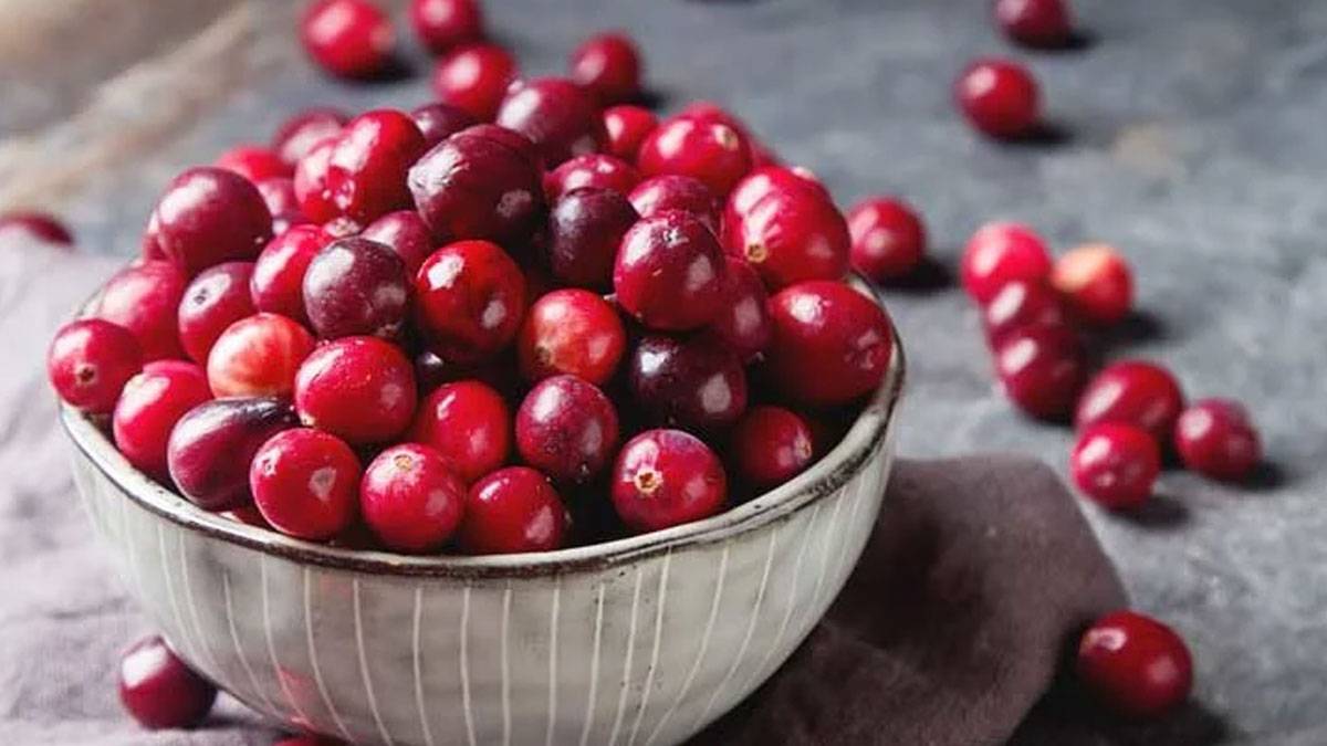 Cranberry Benefits: જાણો ક્રેનબેરીનું સેવન કરવાથી મળતા સ્વાસ્થ્ય લાભો વિશે - know about the health benefits of consuming Cranberry in Gujarati