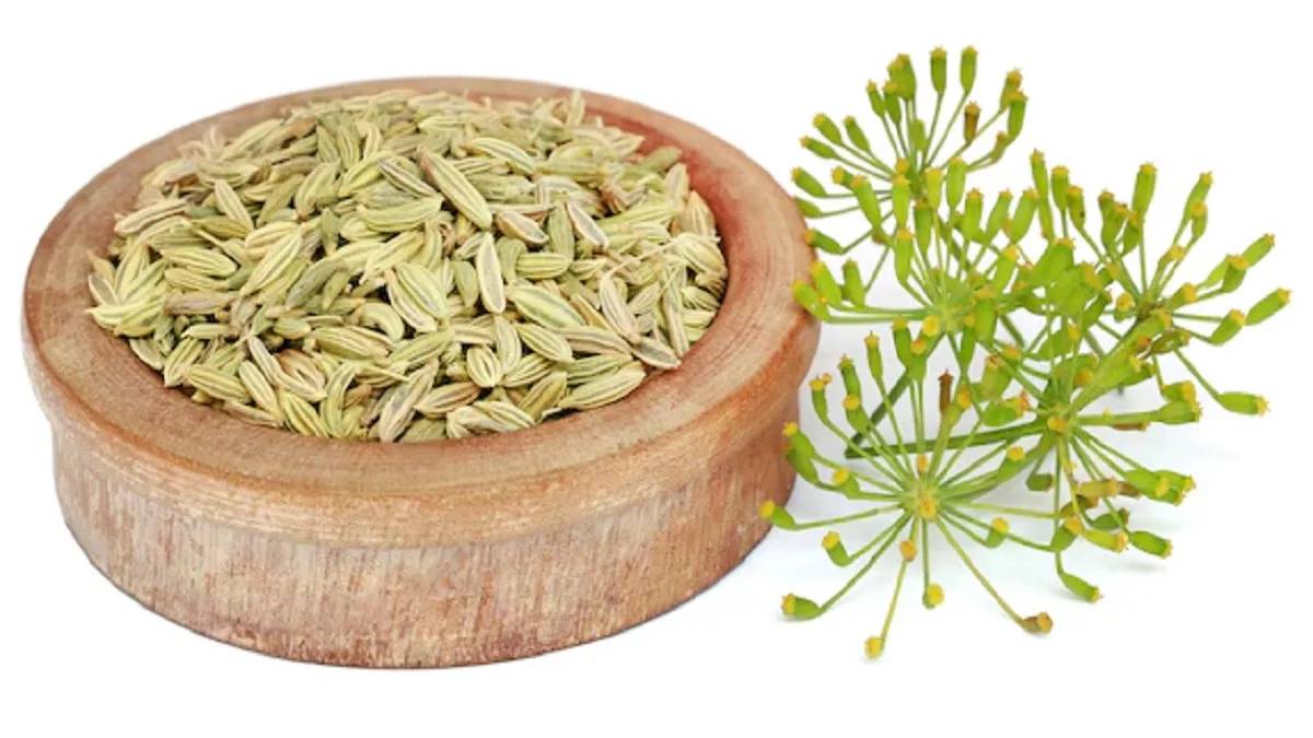 Fennel Seeds ઉનાળામાં વરિયાળીનું સેવન કરવાથી સ્વાસ્થ્યને મળે છે આ