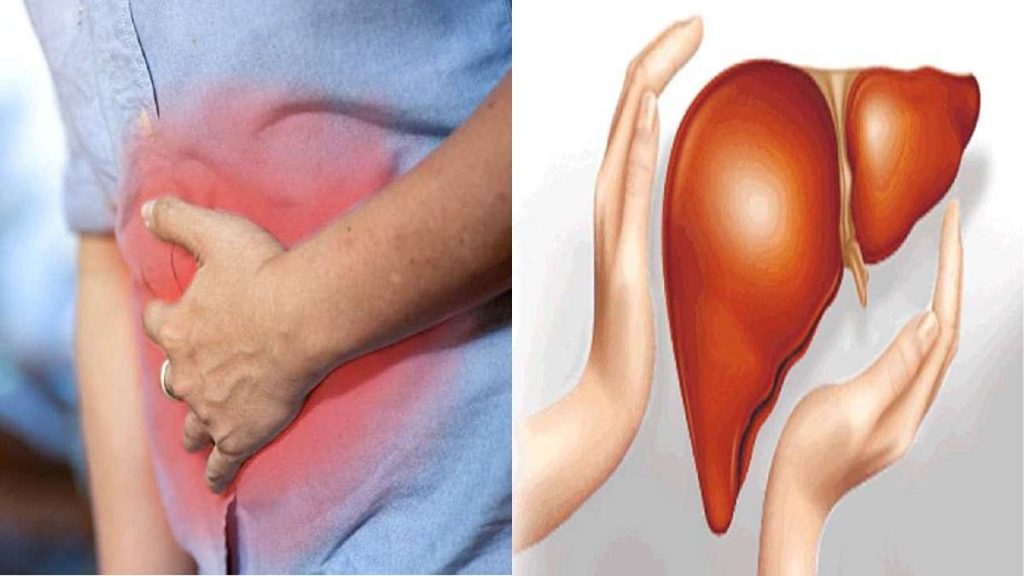 World Liver Day 2023 તમારું લીવર યોગ્ય રીતે કામ કરી રહ્યું છે કે નહીં