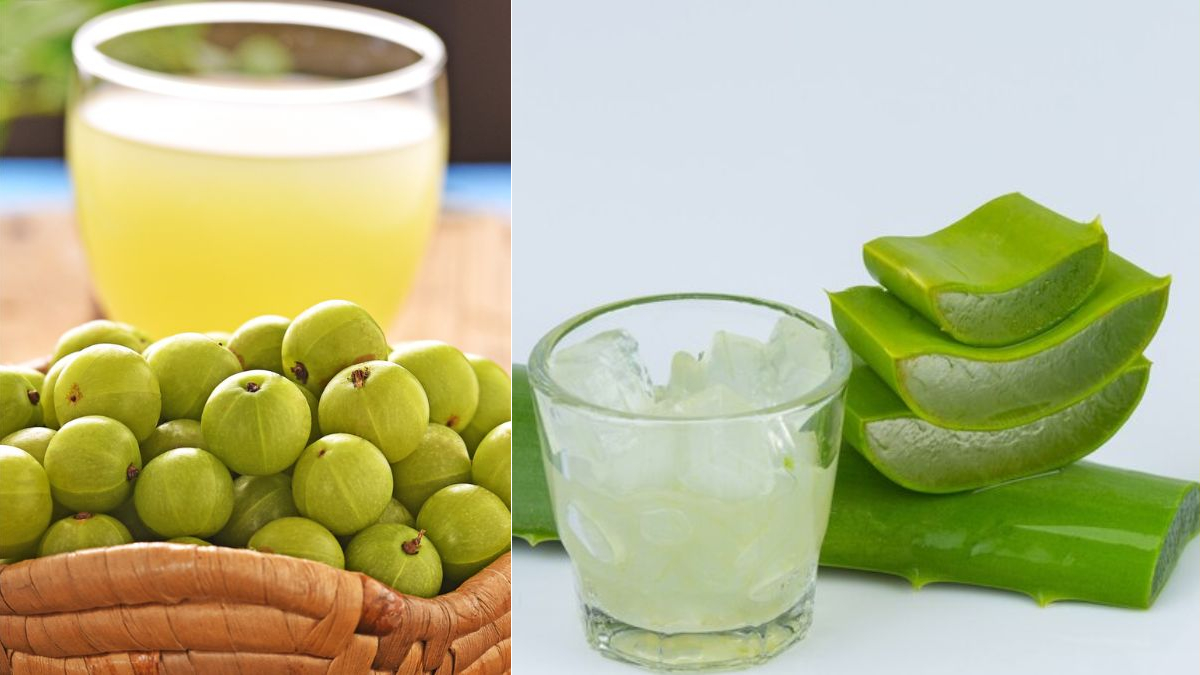 weight-loss-tips-how-to-use-aloe-vera-and-amla-juice-to-lose-weight-in-gujarati-136915
