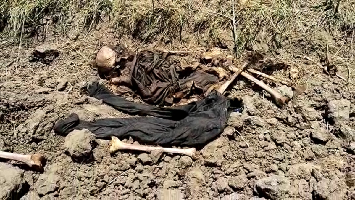 vadodara-news-human-skeleton-found-in-farm-at-waghodia-136438