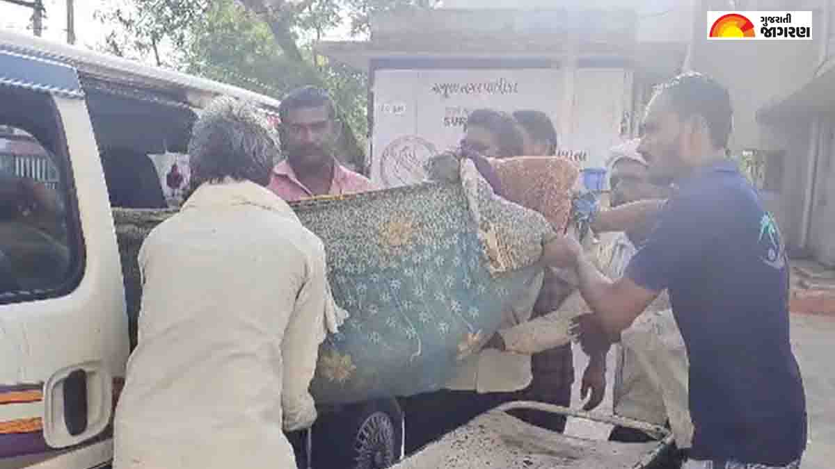 in-amreli-elderly-woman-died-after-being-attacked-by-a-leopard-in-village-of-jafarabad-136658