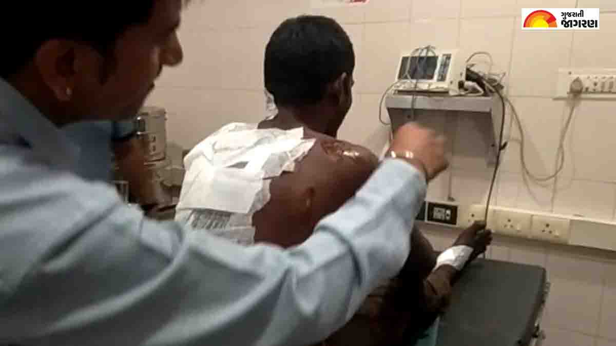 Amreli Lioness Attack: અમરેલીના પીપાવાવ પોર્ટ પર સિંહણે યુવક પર હુમલો કર્યો, યુવકને માંડમાંડ મોતના મુખમાંથી બચાવાયો
