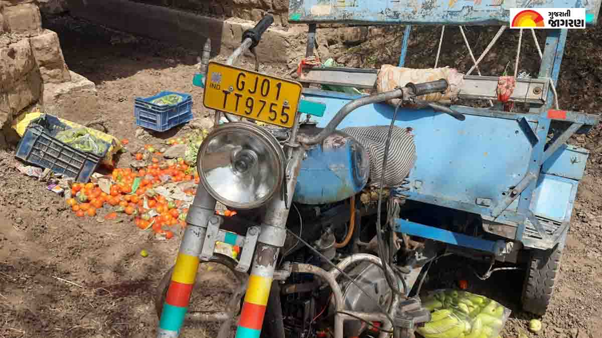 in-gondal-derdi-village-rickshaw-driver-died-road-accident-136715