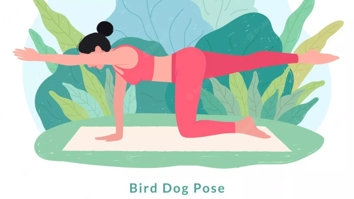 Bird Dog Pose: પીઠના દુખાવાની સમસ્યાથી રાહત મેળવવા માટે શ્રેષ્ઠ છે બર્ડ ...