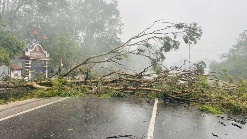 Gujarat Cyclone: બિપોરજોય વાવાઝોડાએ કાંઠે ટકરાતા મચાવ્યો કહેર, ઠેર-ઠેર ...