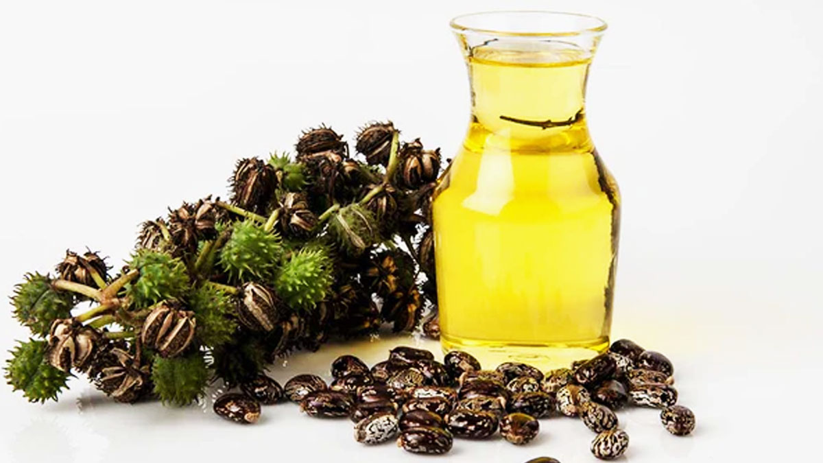 benefits-of-applying-castor-oil-on-hair-in-winters-in-gujarati-443438