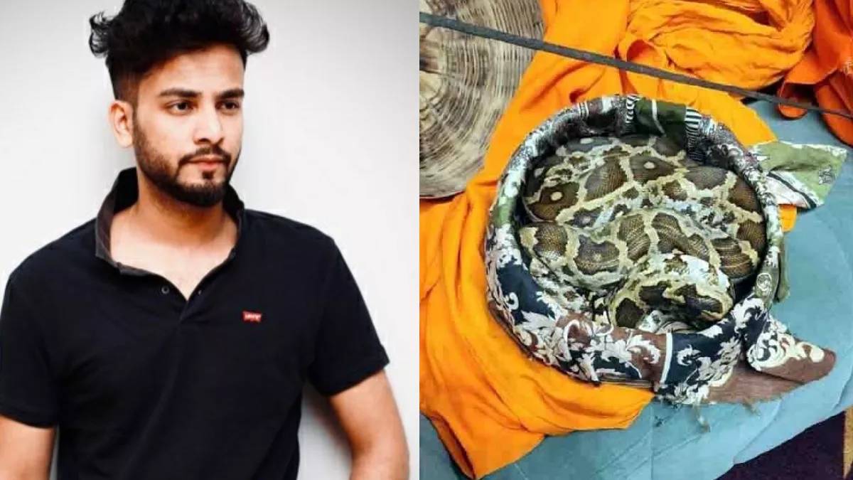 Elvish Yadav Snake Case: અડધી રાત્રે નોઈડા પોલીસ સ્ટેશન પહોંચ્યો એલ્વિશ  યાદવ, ત્રણ કલાક સુધી થઈ પૂછપરછ - Youtuber And Bigg Boss OTT Winner Elvish  Yadav Questioned By Noida Police For 3