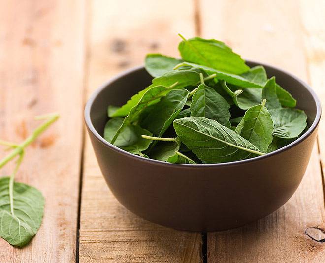 ગિલોયનો આ આયુર્વેદિક ઉકાળો શરદી અને ઉધરસમાં આપશે રાહત, બદલાતા હવામાનથી