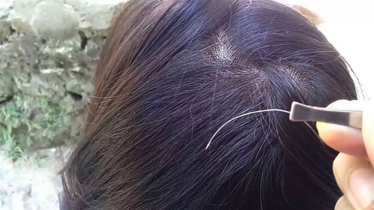 beauty-tips-in-gujarati-white-hair-remedies-254499