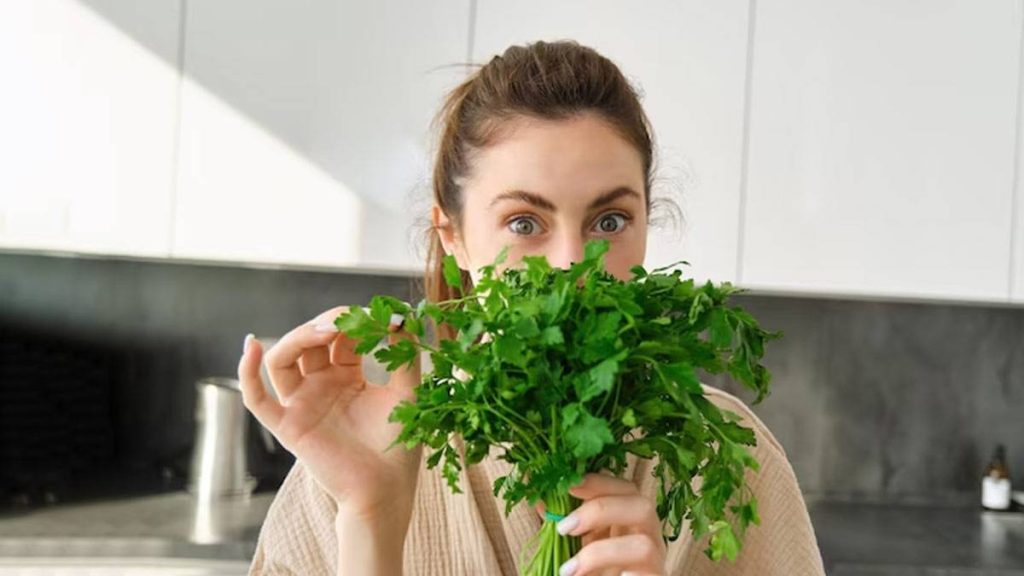 Coriander Leaves Chutney શિયાળામાં કોથમીરની ચટણી ખાઓ, સ્વાસ્થ્યને મળે છે ઘણા ફાયદા Health