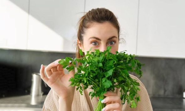 Kitchen Tips: ધાણાને લાંબા સમય સુધી તાજા રાખવાની રીત જાણો