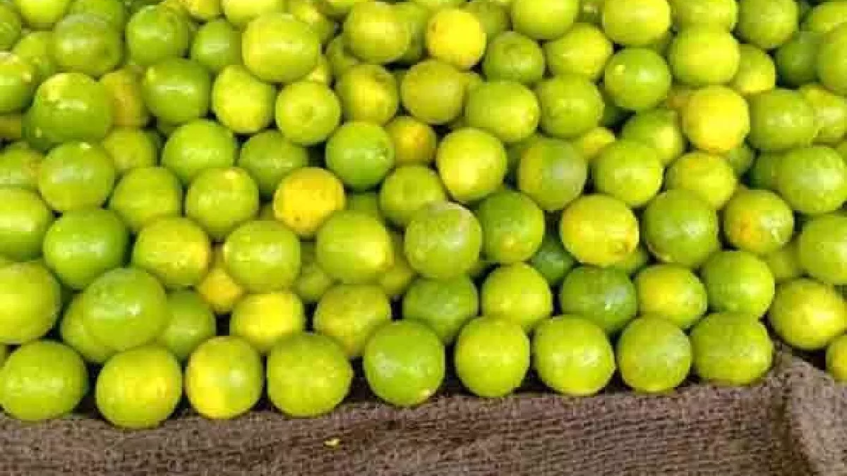 how-to-store-fresh-lemons-for-long-time-and-keep-them-fresh-longer-257796