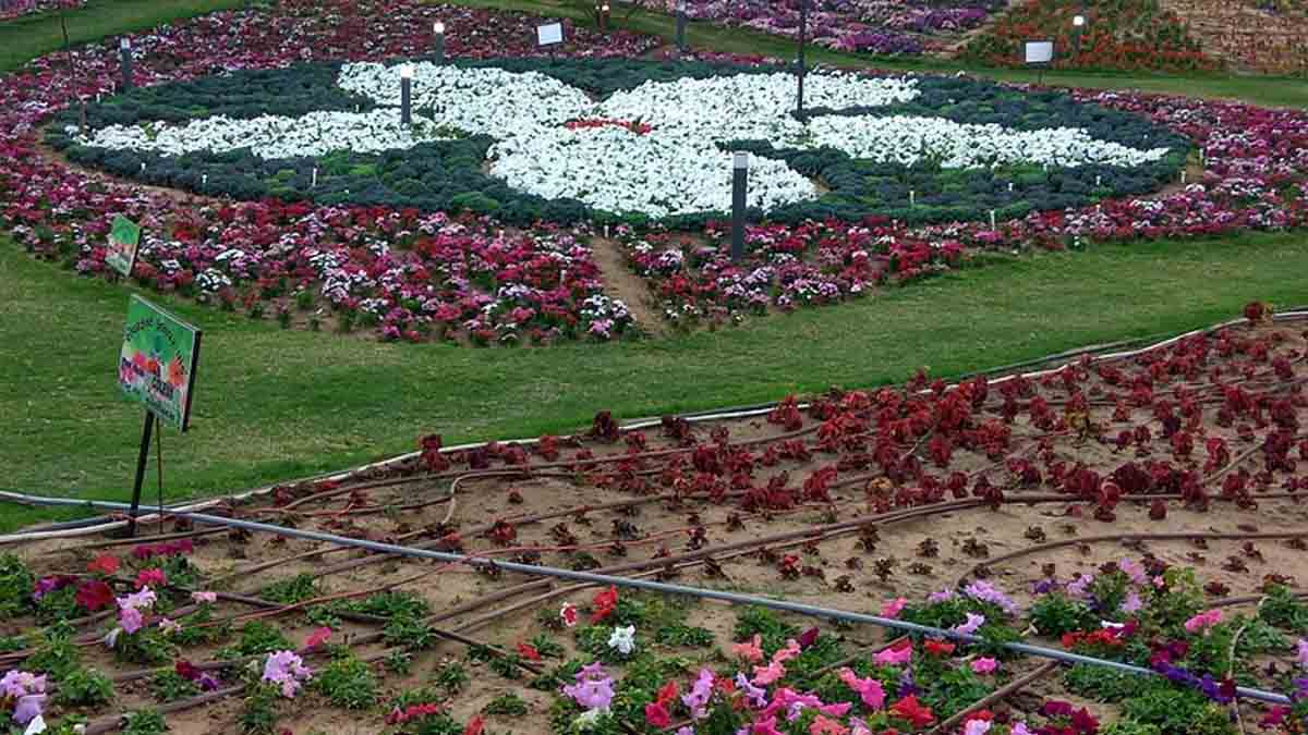 ahmedabad-flower-show-2024-400-meter-flower-structure-to-be-built-sardar-patel-statue-sculpture-will-be-attraction-and-gate-will-be-shaped-like-vadnagars-toran