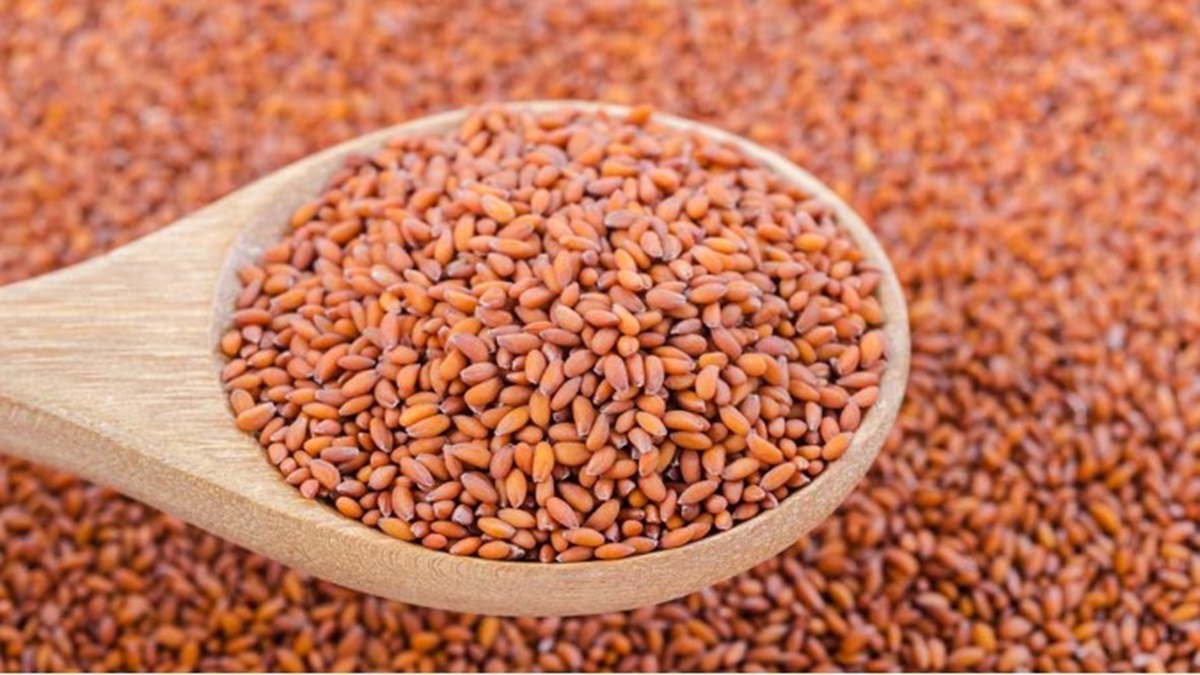 if-you-eat-this-special-seed-like-this-you-will-stay-away-from-6-diseases-258020