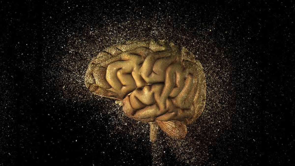 know-what-brain-fog-is-eat-these-5-things-to-combat-it-259528