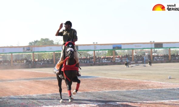 Morbi: વાંકાનેરના આંગણે અશ્વોનો મેળાવડોઃ 17મું 'કામા' અશ્વ પ્રદર્શન અને રમતોત્વસનું ભવ્ય આયોજન