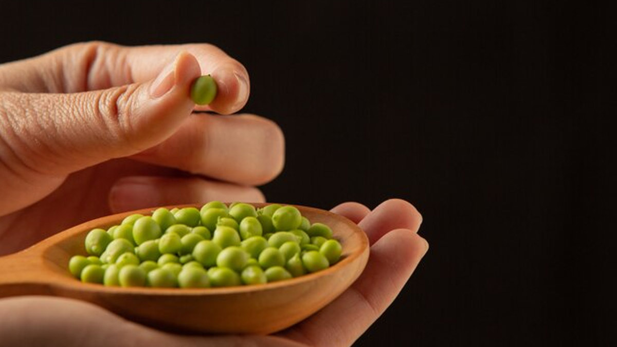 eating-green-peas-in-winter-gives-you-these-tremendous-benefits-260657