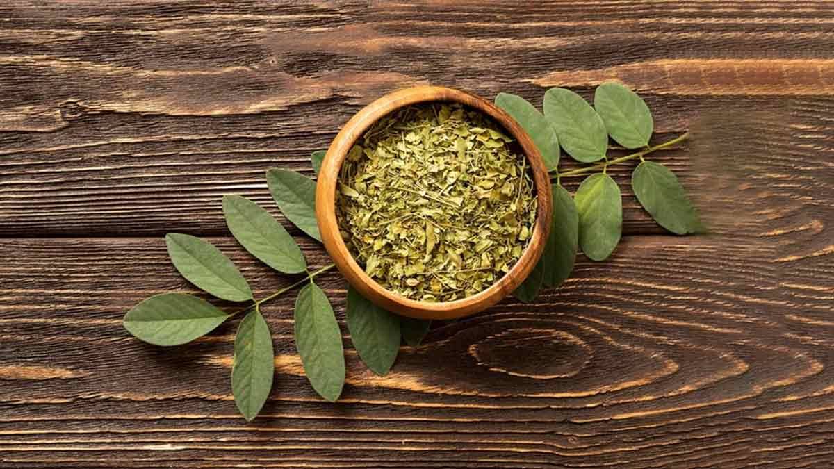 health-benefits-and-uses-of-curry-leaves-or-kadi-patta-260279