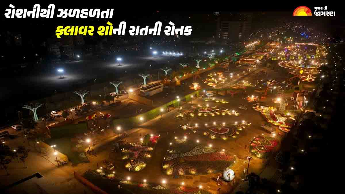 Ahmedabad Flower Show 2024 Pics: રોશનીથી ખીલી ઉઠ્યા ફૂલો, અમદાવાદના ફ્લવાર શોની રાત્રીની રોનક