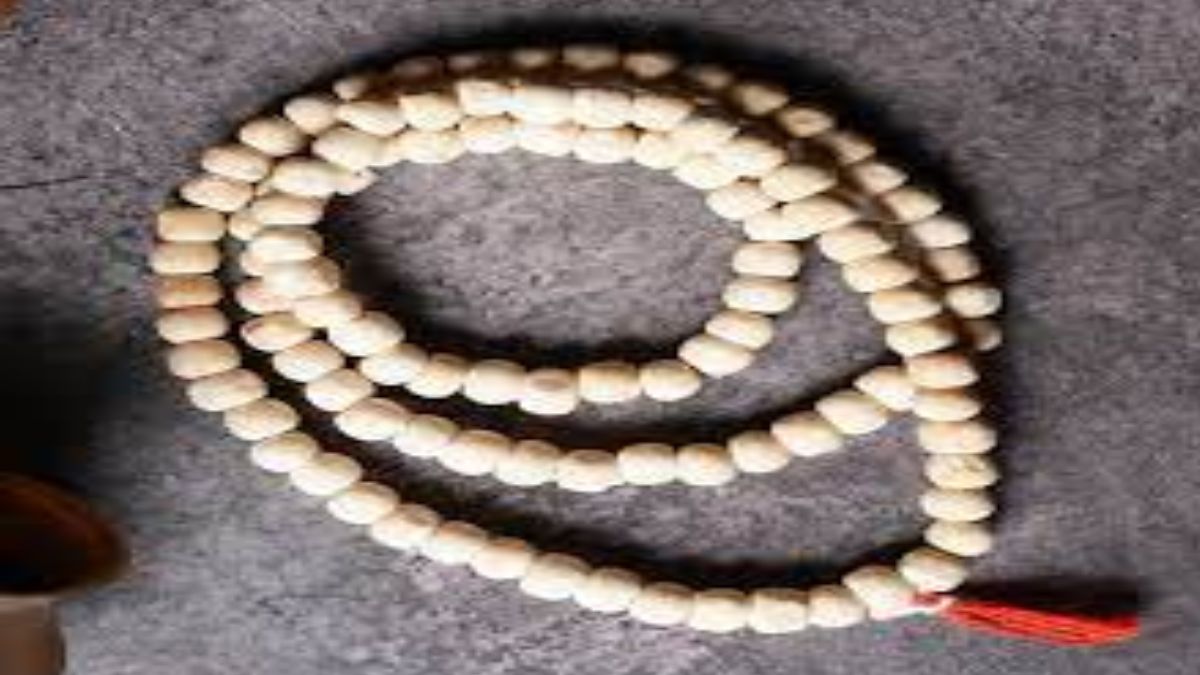 tulsi-mala-niyam-these-are-the-best-days-to-wear-tulsi-mala-niyam-for-good-results-275020