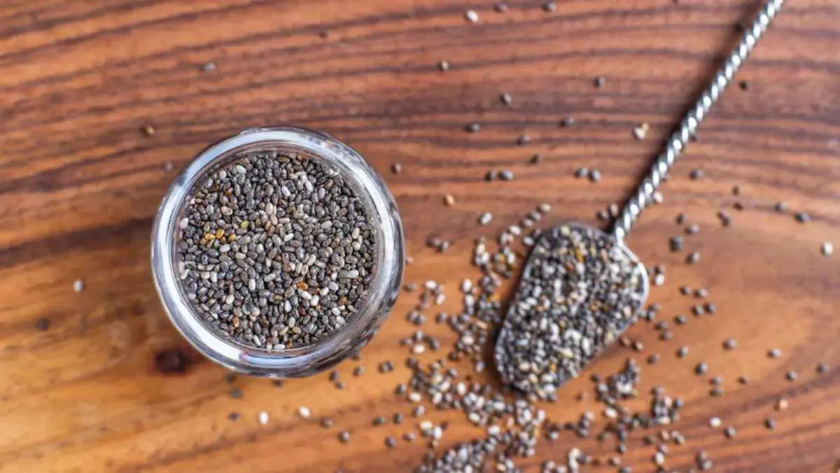 what-are-chia-seeds-nutrition-uses-health-benefits-precautions-and-side-effects-in-gujarati-306517