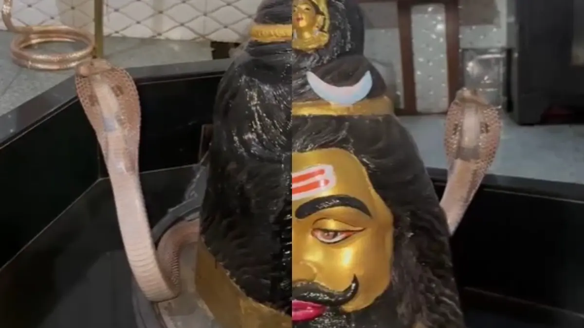 surat-news-naag-devta-seen-on-shivaling-at-bhestan-temple-296277