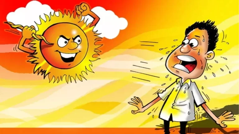 Tips to Avoid Heat Wave: ઉનાળામાં હીટ વેવથી બચવા માટે અપનાવો આ રીતો - Follow these tips to avoid summer heat waves