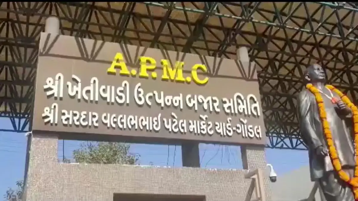 gondal-apmc-aaj-na-bajar-bhav-28-august-2025-593109