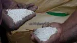 Fertilizer Price: ખેડૂતોને મોટી રાહત; યુદ્ધની સ્થિતિ વચ્ચે પણ ખાતરની કિંમતમાં કોઈ વધારો થશે નહીં