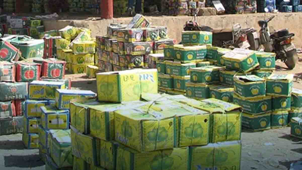 Mango Price In Gondal: ગોંડલ યાર્ડમાં 19,942 બોક્સ કેરીની આવક, હરાજીમાં કેસરનો દબદબો; જાણો પ્રતિ બોક્સ શું મળ્યો ભાવ