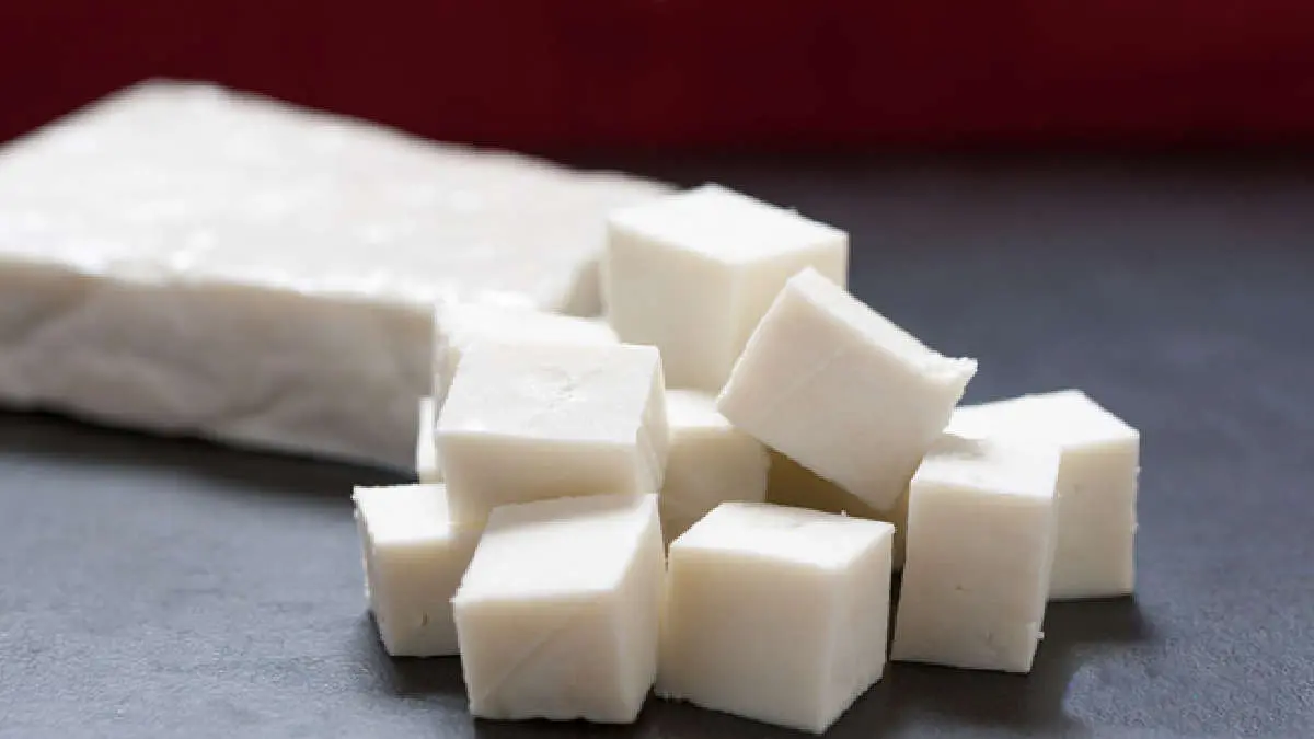 how-to-make-paneer-at-home-or-paneer-banavani-rit-348185