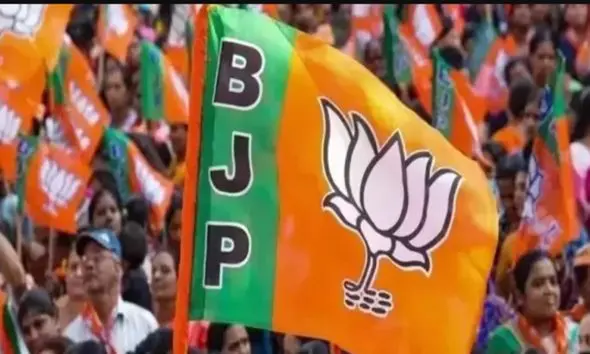 બોટાદ ભાજપની નવી ટીમ જાહેરઃ 8 ઉપપ્રમુખ, 3 મહામંત્રી અને 8 મંત્રીઓની નિયુક્તિ