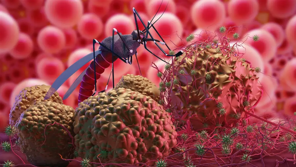Chandipura Virus: મહેસાણામાં ચાંદીપુરા વાયરસથી બાળકનું થયું મોત, અમદાવાદ સિવિલમાં અપાઇ રહી હતી સારવાર - A one yearold child died of Chandipura virus in Mehsana who was undergoing ...